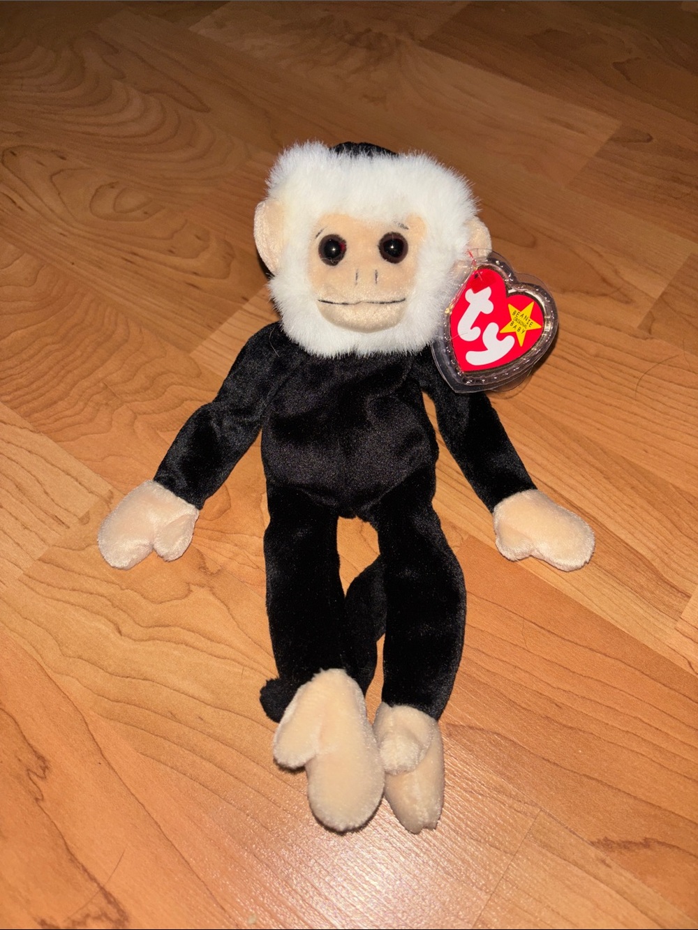 Ty Plush Monkey in Black and Cream with Beanie Tag